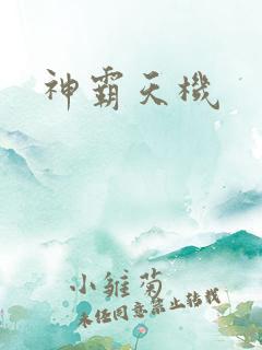 神霸天机