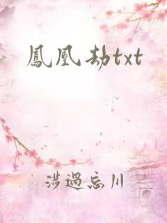 凤凰劫txt