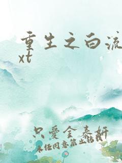 重生之白流苏txt