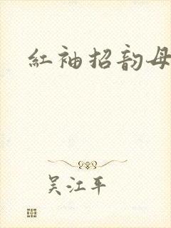 红袖招韵母攻略