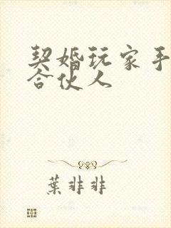 契婚玩家手册之合伙人