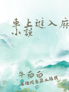 车上进入麻麻的小说