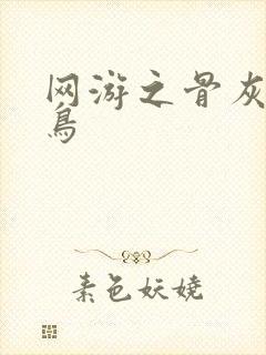 网游之骨灰级菜鸟