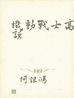 机动战士高达小说