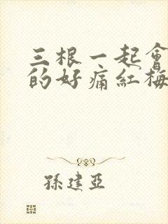 三根一起会坏掉的好痛红梅