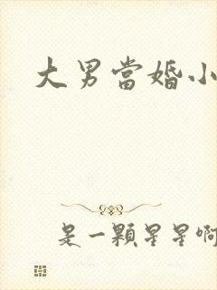 大男当婚小说