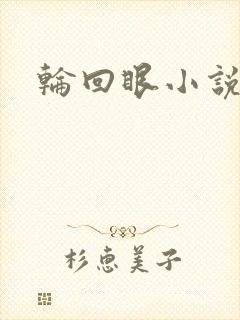 轮回眼小说