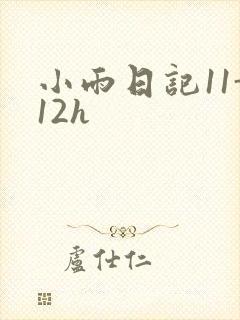 小雨日记11-12h
