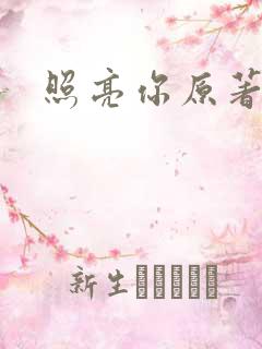 照亮你原著小说