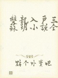 双龙入户三人行苏玥小说全文阅读