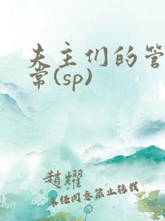 夫主们的管教日常(sp)