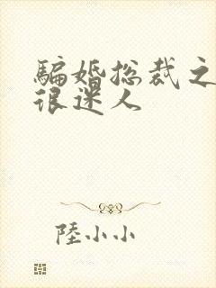 骗婚总裁之老婆很迷人