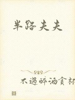 半路夫夫