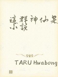 这群神仙是假的小说