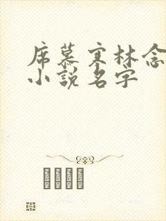 席慕寒林念儿的小说名字