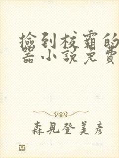 捡到校霸的遥控器小说免费阅读无弹窗