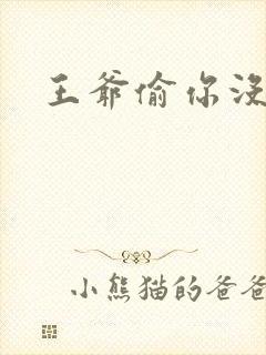 王爷偷你没商量