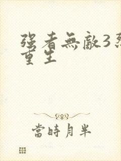 强者无敌3烈火重生