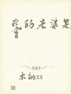 我的老婆是黑社会