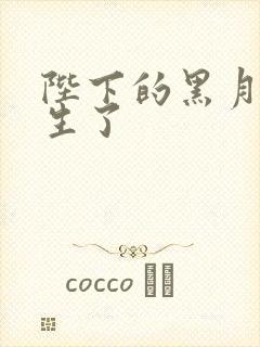 陛下的黑月光重生了