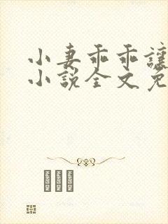 小妻乖乖让我宠小说全文免费阅读