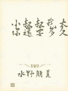 小叔叔我太累了你还要多久