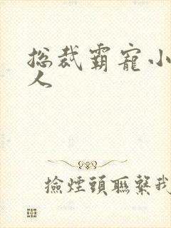 总裁霸宠小小女人