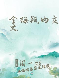 金梅瓶肉交白话文