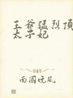 王爷猛烈顶弄H太子妃