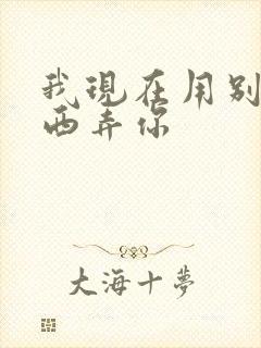 我现在用别的东西弄你