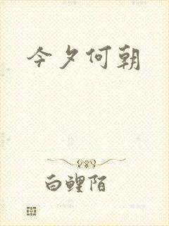 今夕何朝