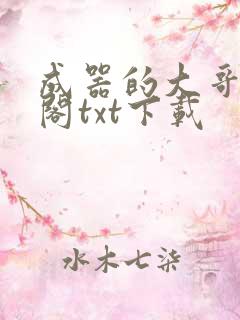 成器的大哥笔趣阁txt下载