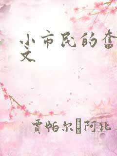 小市民的奋斗燃文