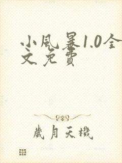小风暴1.0全文免费