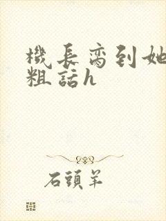 机长脔到她哭h粗话h