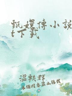 甄嬛传小说txt下载