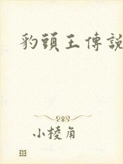 豹头王传说小说