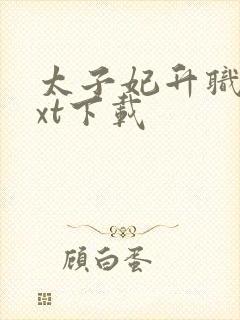 太子妃升职记txt下载