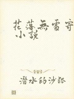 花落无处寄相思 小说