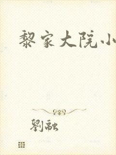 黎家大院小说
