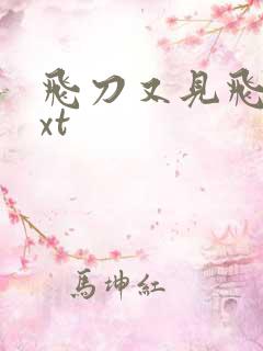 飞刀又见飞刀txt