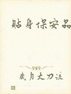 贴身保安品书网