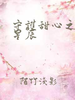 守护甜心之暗夜星辰