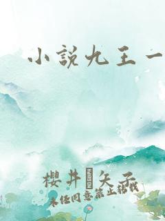 小说九王一后