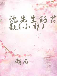 沈先生的花式调数(小非)