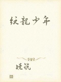 纹龙少年
