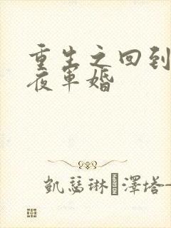 重生之回到新婚夜军婚