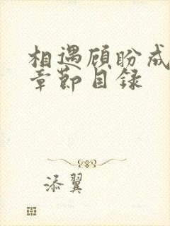 相遇顾盼成欢全章节目录