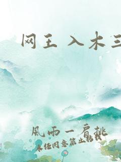 网王 入木三分