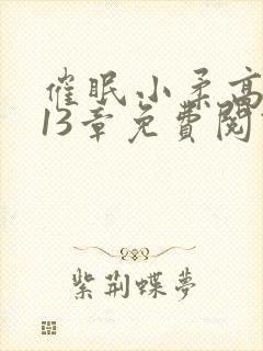 催眠小柔高达第13章免费阅读